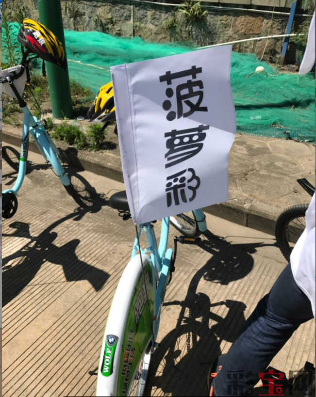 菠萝.png